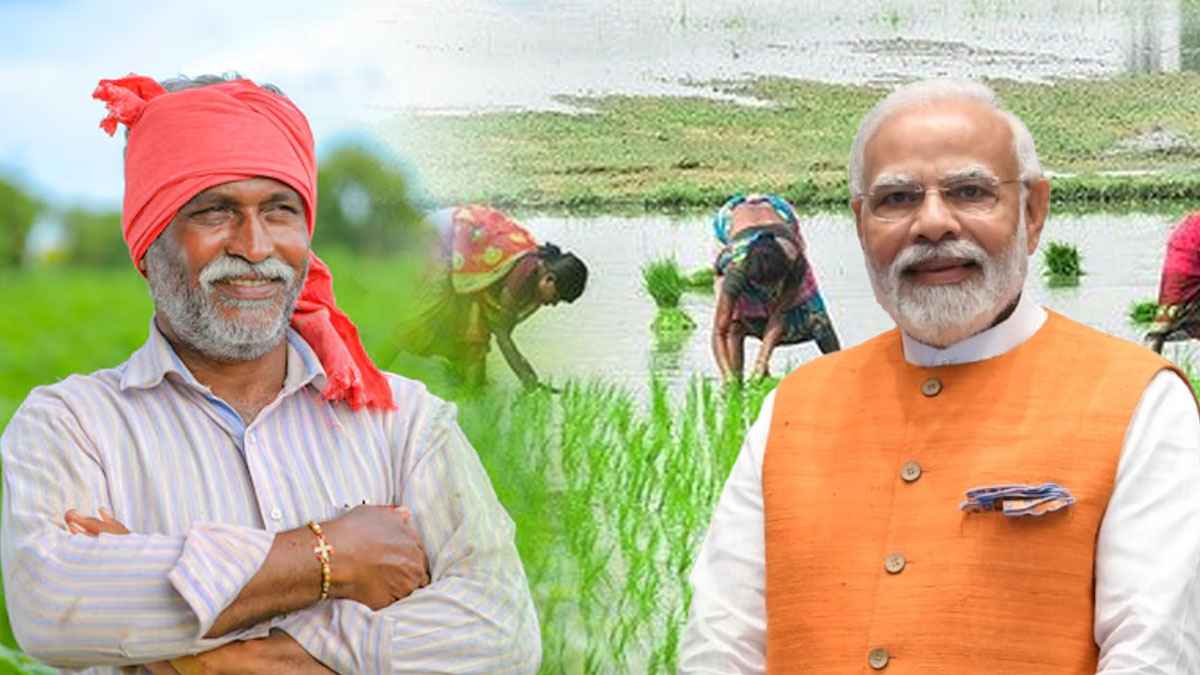 PM  Dhan Dhanya Krishi Yojana: क्या है पीएम धन धान्य कृषि योजना, जिसपर सालाना 24000 करोड़ रुपये खर्च करेगी सरकार