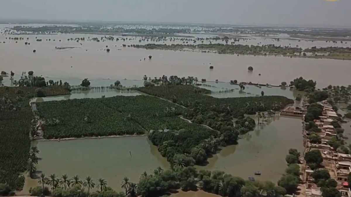 पाकिस्तान में तबाही के वीडियो देखें, आफत बनकर बरसे बादल, 20 दिन में 200 लोगों की मौत