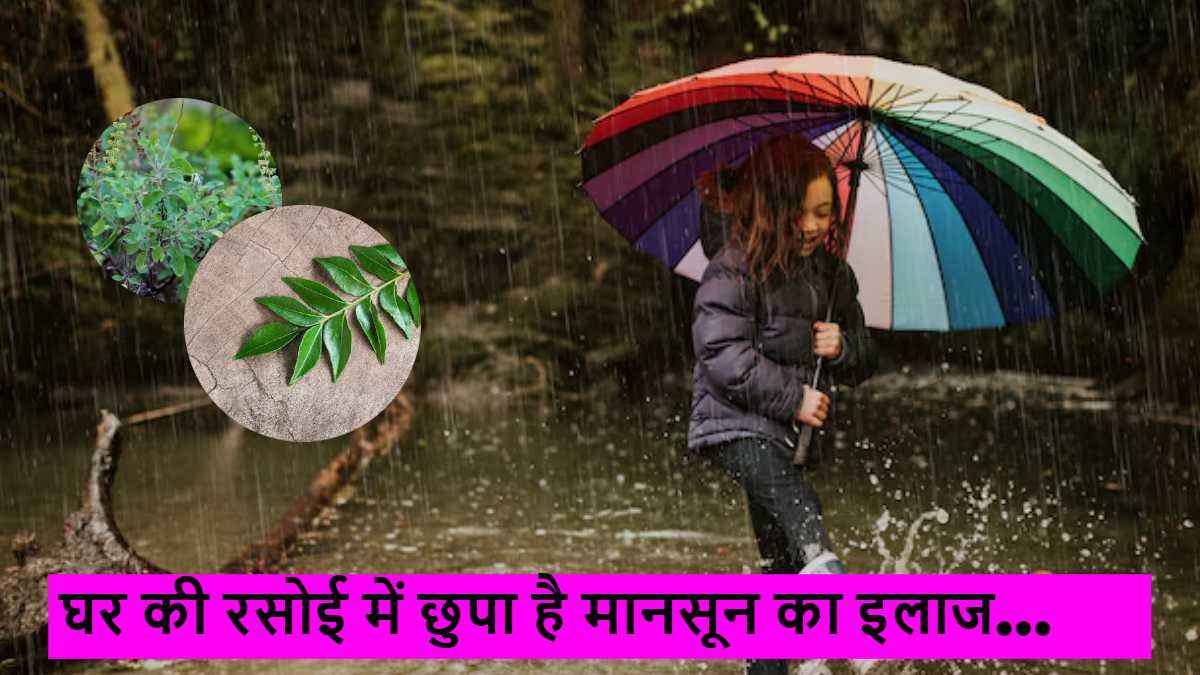 Monsoon Tips: बारिश में क्यों बढ़ती हैं बीमारियां? जानिए 5 खाने की चीजें जो रखेंगी आपको सुरक्षित