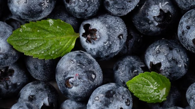 SOURCE- freepik -1-2-3-4-5-6-7-8