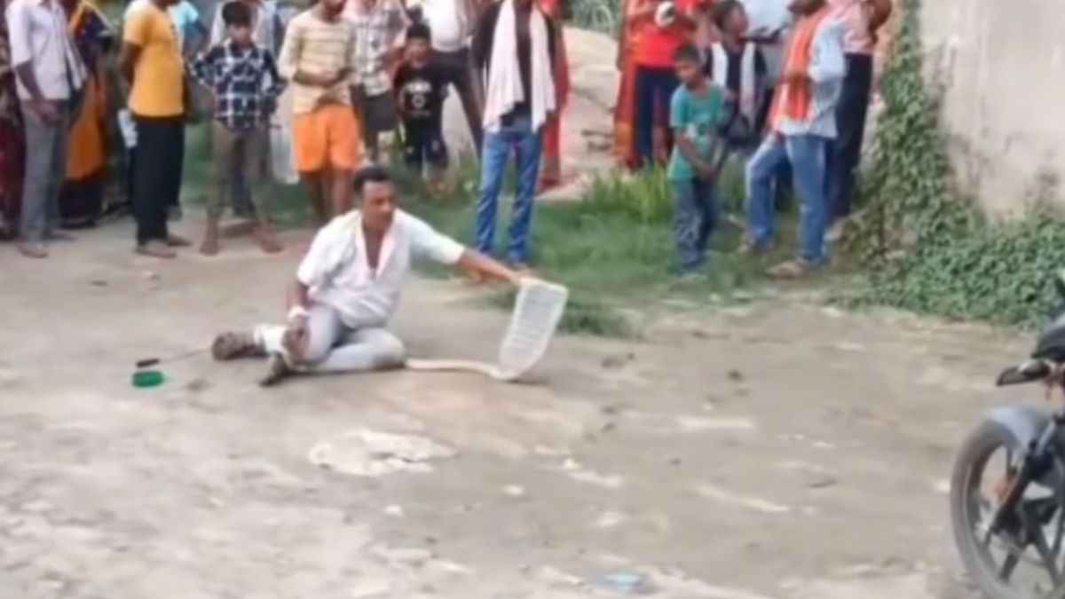 सांप पकड़ने गए शख्स की कैमरे के सामने चली गई जान, लोग बनाते रहे वीडियो