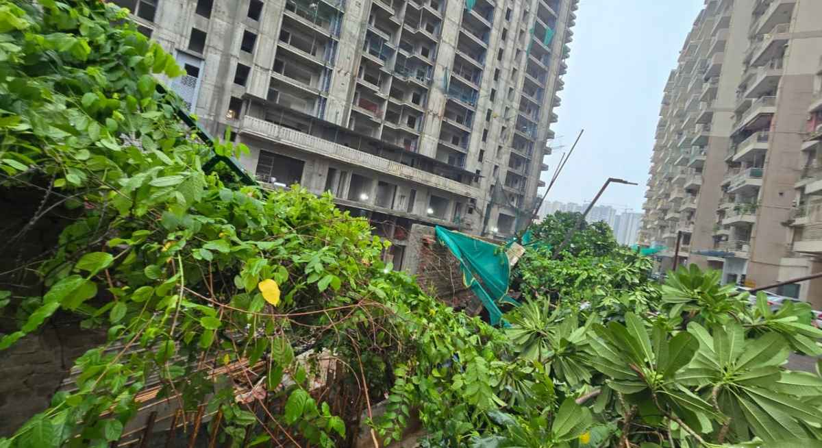 Greater Noida News: ग्रेटर नोएडा वेस्ट में बारिश बनी आफत, जानें किस सोसायटी में गिरी बाउंड्रीवाल