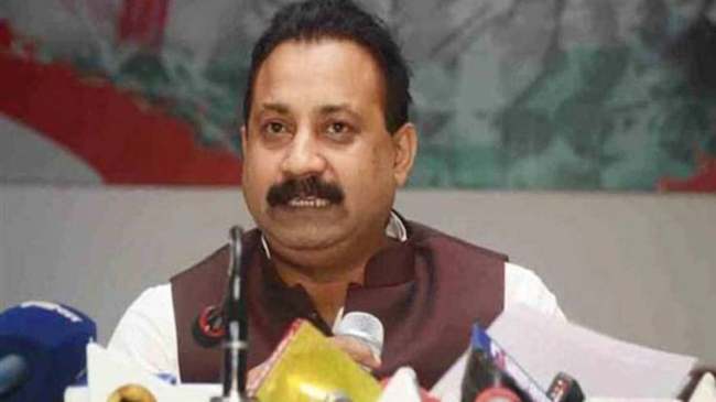 What is the Global Tender Row