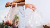 International Plastic Bag Free Day