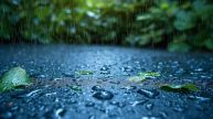 Monsoon Health Tips