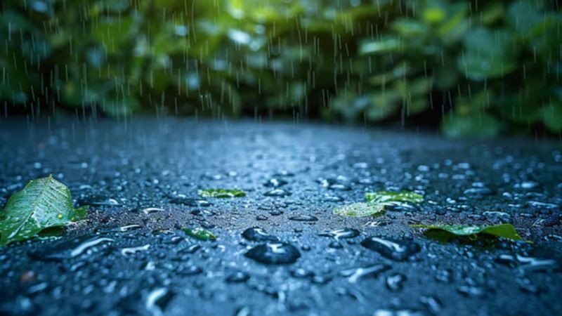 Monsoon Health Tips