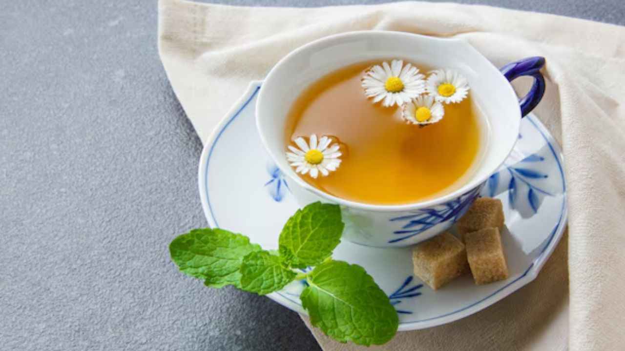 Weight Loss Drinks: वजन कंट्रोल करने के लिए सोने से पहले पिएं ये 3 ड्रिंक्स, आसानी से होगा फैट बर्न