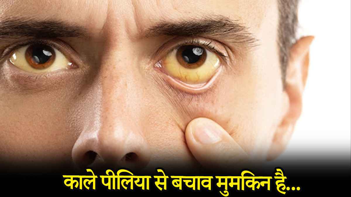 SOURCE- NEWS 24