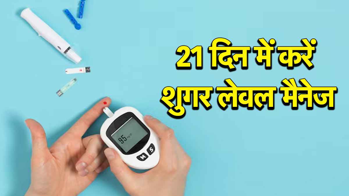 Diabetes Controlling Tips: 21 दिन में शुगर लेवल नॉर्मल, बस अपनाएं डॉक्टर के बताए ये आसान तरीके