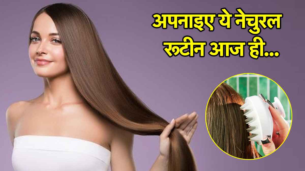 Hair Care: हेयर ग्रोथ में ब्रेक? जानिए कैसे एक स्कैल्प मसाजर बदल सकता है आपकी बालों की हेल्थ