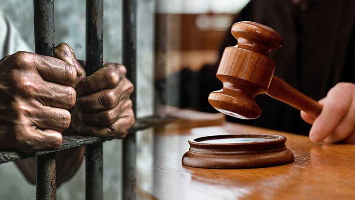 हिट एंड रन केस में कितनी हो सकती है सजा? 2 साल में ज्यादा सख्त हुए नियम