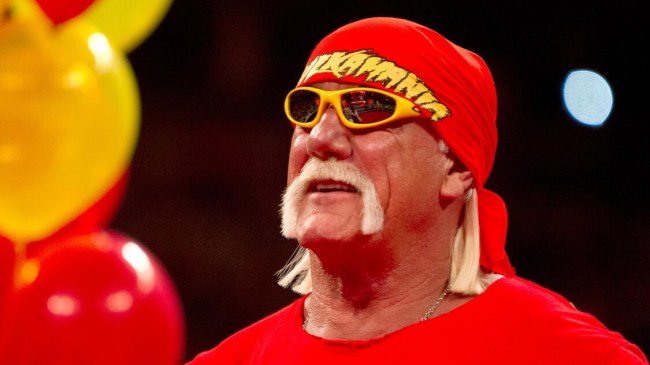 WWE, Hulk Hogan
