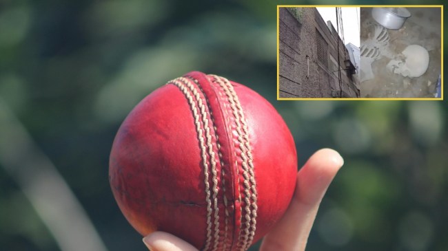 hyderabad skeleton News