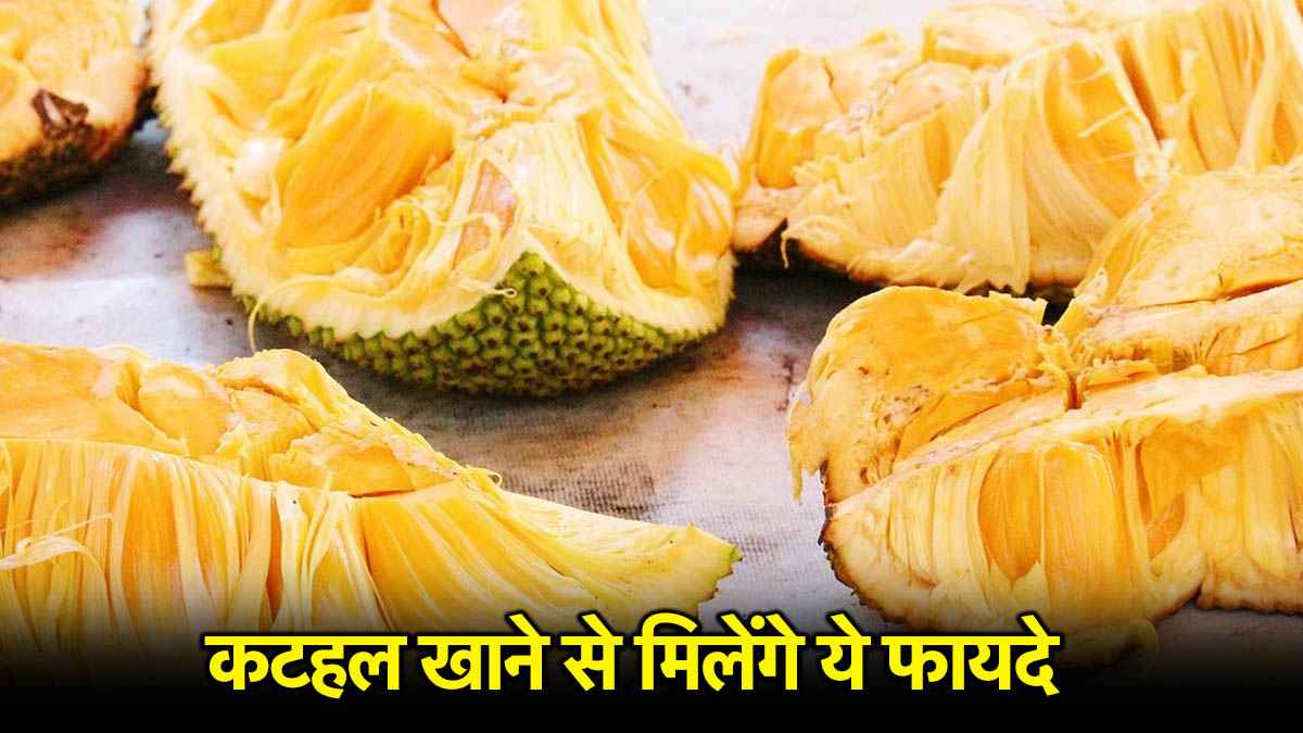 JackFruit Day 2025: कटहल सब्जी है या फल? इसे खाने से बढ़ेगी हड्डियों समेत दिल की ताकत