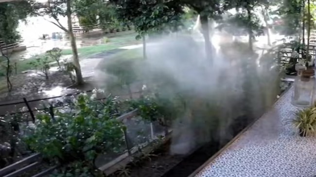 mahagun Moderne Society Noida News, Mahagun Moderne Society, Noida, Noida Authority, Noida, RWA, Resident Welfare Assocition, नोएडा खबर, महागुन मॉडर्न सोसायटी, नोएडा, नोएडा प्राधिकरण, नोएडा, आरडब्ल्यूए