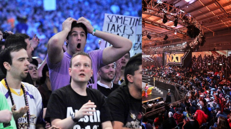 WWE, NXT