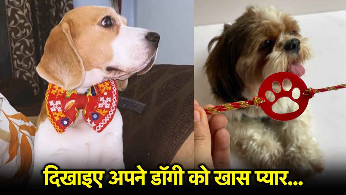Raksha Bandhan: इस रक्षाबंधन अपने डॉगी को भी बांधिए राखी, डिजाइन देखकर आप भी रह जाएंगे दंग