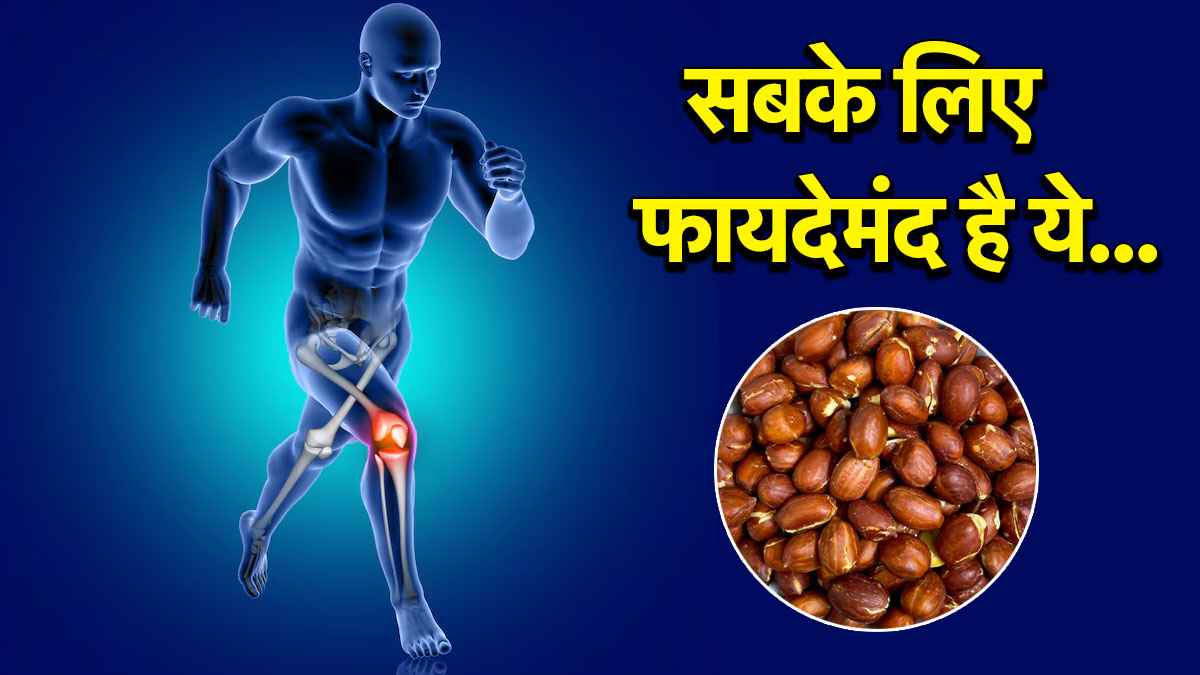 Roasted Peanuts Benefits: भुनी मूंगफली के फायदे जानकर चौंक जाएंगे आप, सेहत का देसी सुपरफूड