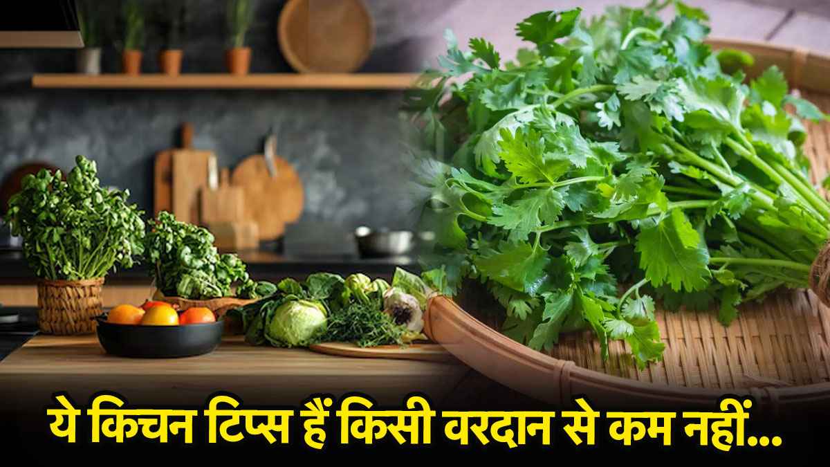 Kitchen Tips: इन आसान Kitchen Hacks से सब्जियां रहेंगी हफ्तों तक Fresh, जानें तरीके