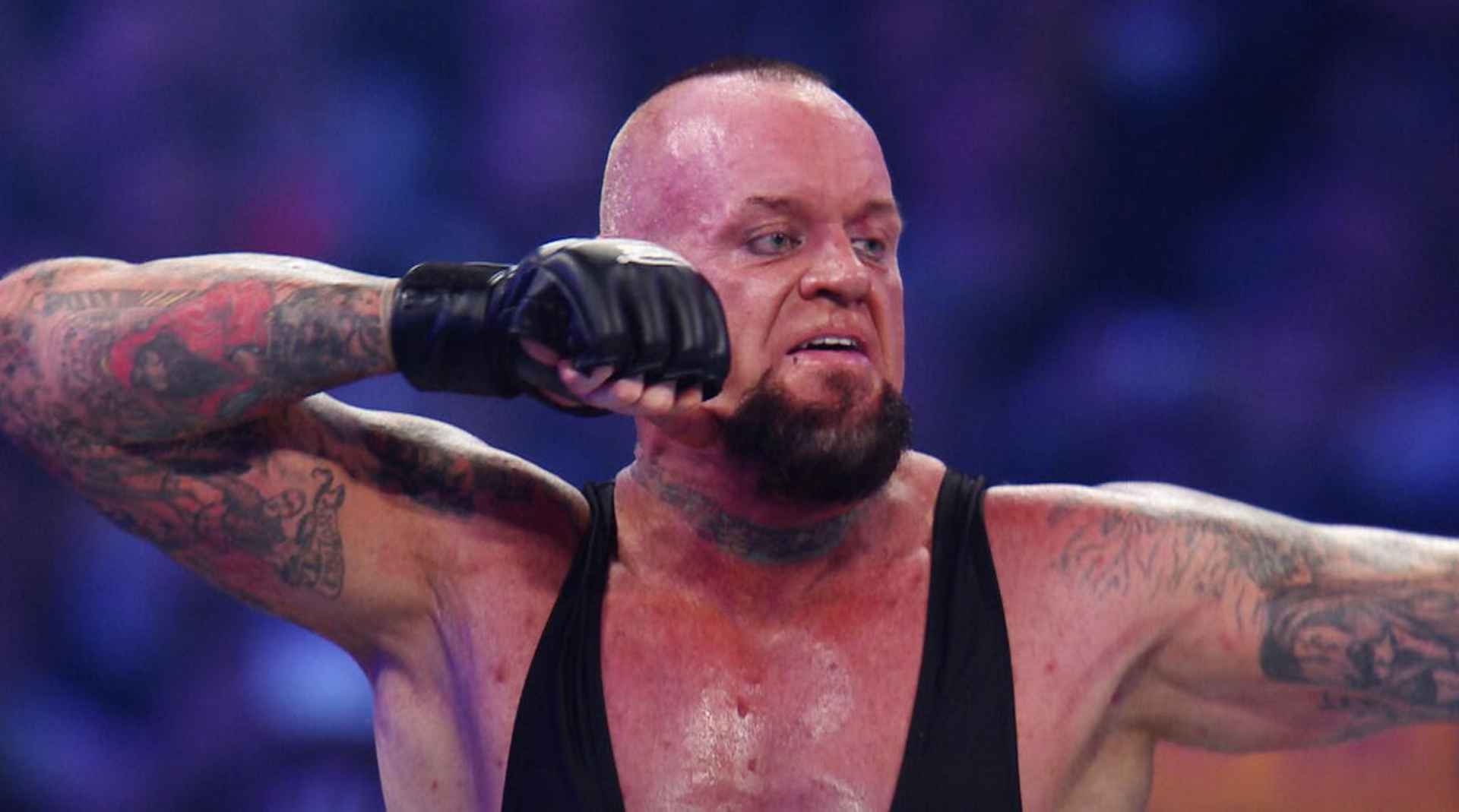 WWE, The Undertaker