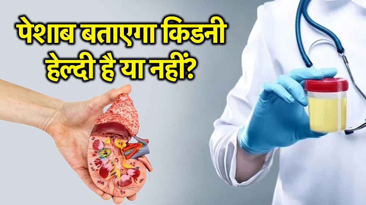 दिन में कितनी बार पेशाब करते हैं आप? डॉक्टर ने बताया किडनी की बीमारी का बड़ा कारण