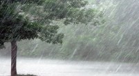 Ghaziabad News, Ghaziabad weather, Weather Updates, Today's Weather, Kanwariyas, Kanwar Yatra 2025, Ghaziabad, Ghaziabad Latest News, गाजियाबाद खबर, गाजियाबाद, गाजियाबाद ताजा खबर, गाजियाबाद मौसम, मौसम अपडेट, आज का मौसम, कांवड़ियां, कांवड़ यात्रा 2025