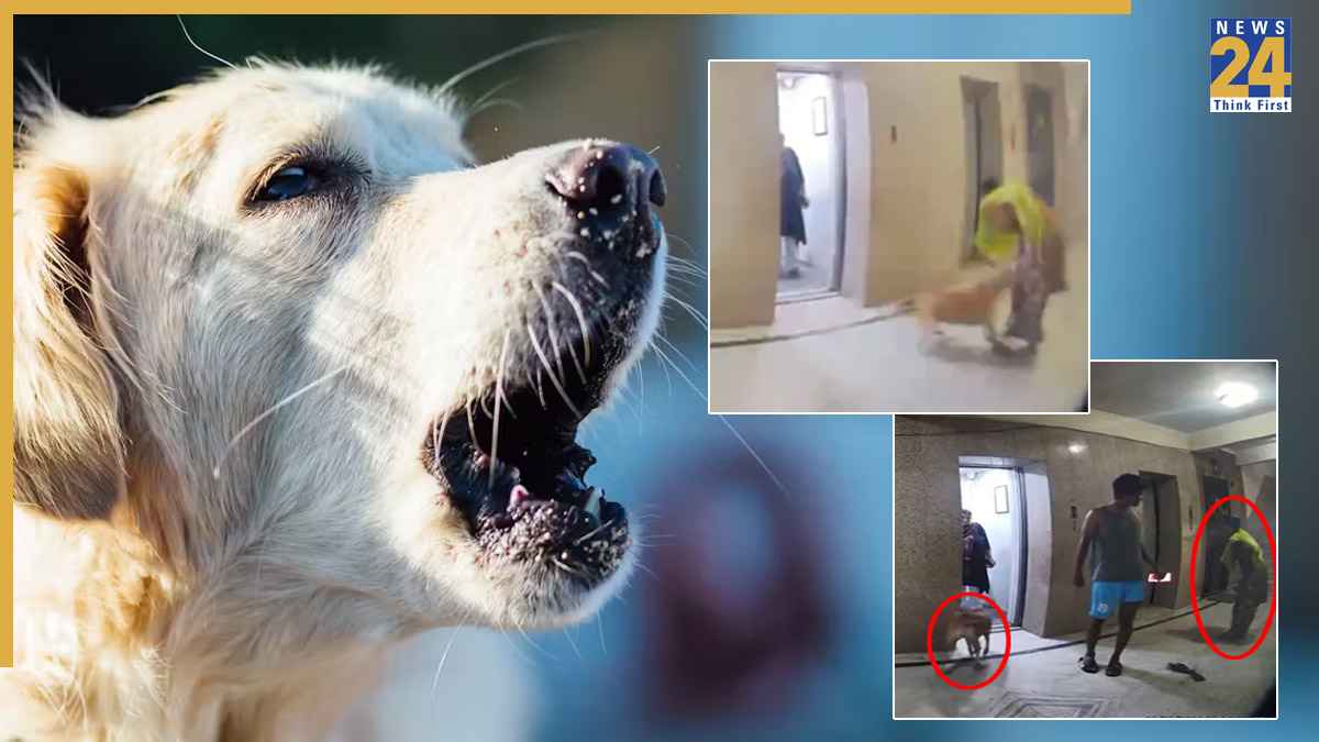 गाजियाबाद में लिफ्ट का इंतजार कर रही महिला को कुत्ते ने काटा, वीडियो सोशल मीडिया पर वायरल