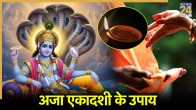 Aja Ekadashi 2025
