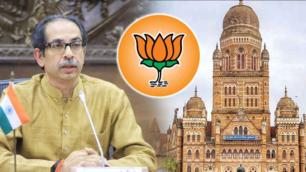 BMC Election