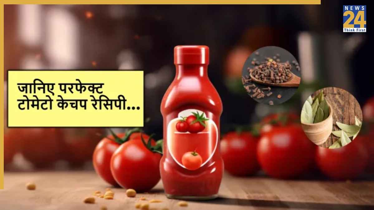 Homemade Tomato Ketchup: टोमेटो केचप घर पर बनाएं, वो भी बिना केमिकल के- एक्सपर्ट में जानें आसान तरीका
