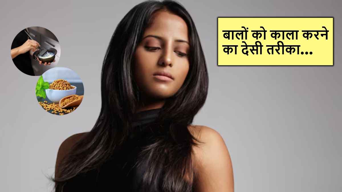 DIY Dye Hair Oil: उम्र से पहले सफेद बाल? अब बनाएं ये घरेलू हेयर डाई ऑयल और पाएं काले-घने बाल
