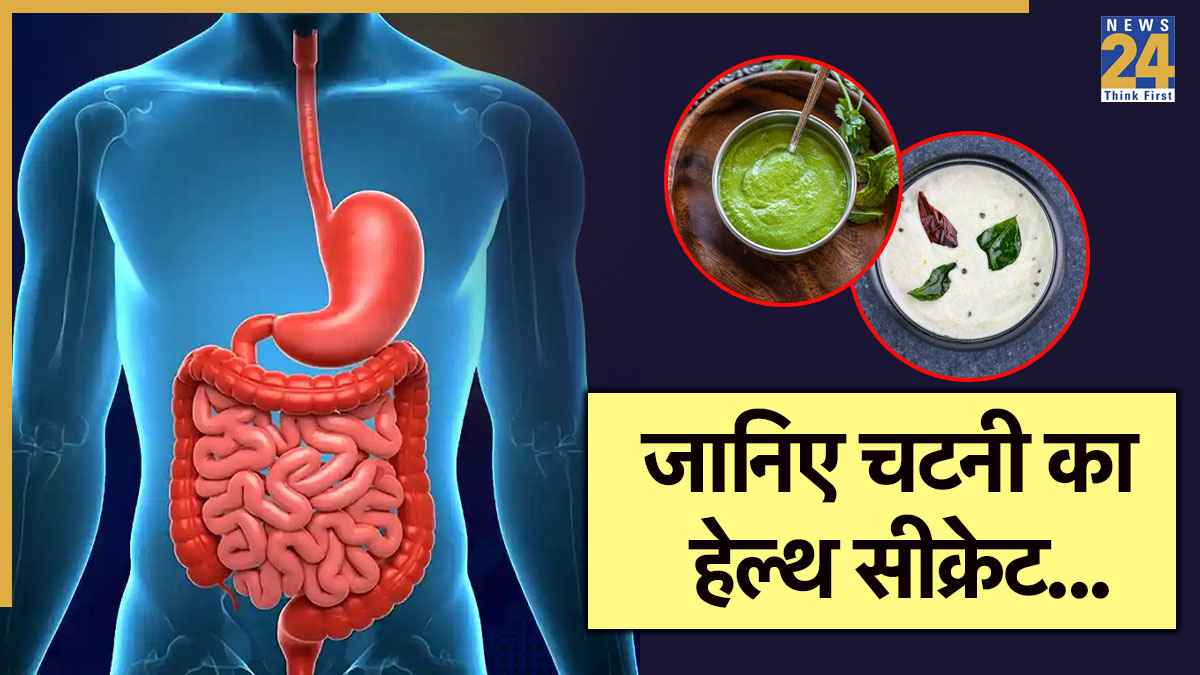 Homemade chutney benefits: घर की बनी ये चटनियां हैं हेल्थ बूस्टर, जानिए क्या कहते हैं एक्सपर्ट