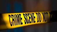 Delhi Crime