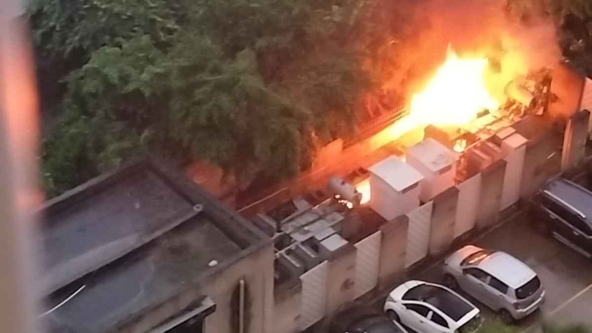 Fire In Nirala Green Shire