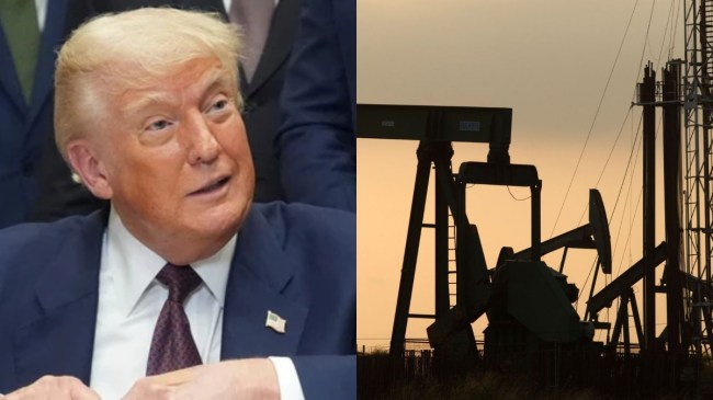 India US crude oil trade