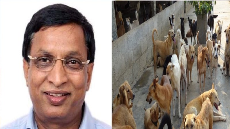 Karnataka News, Chikkamagaluru Municipal Council, SL Bhojegowda, Street Dog, Spureme Court, Karnataka Assembly, Karnataka, कर्नाटक खबर, चिक्कमगलुरु नगर परिषद, एसएल भोजेगौड़ा, आवारा कुत्ते, सुप्रीम कोर्ट, कर्नाटक सदन