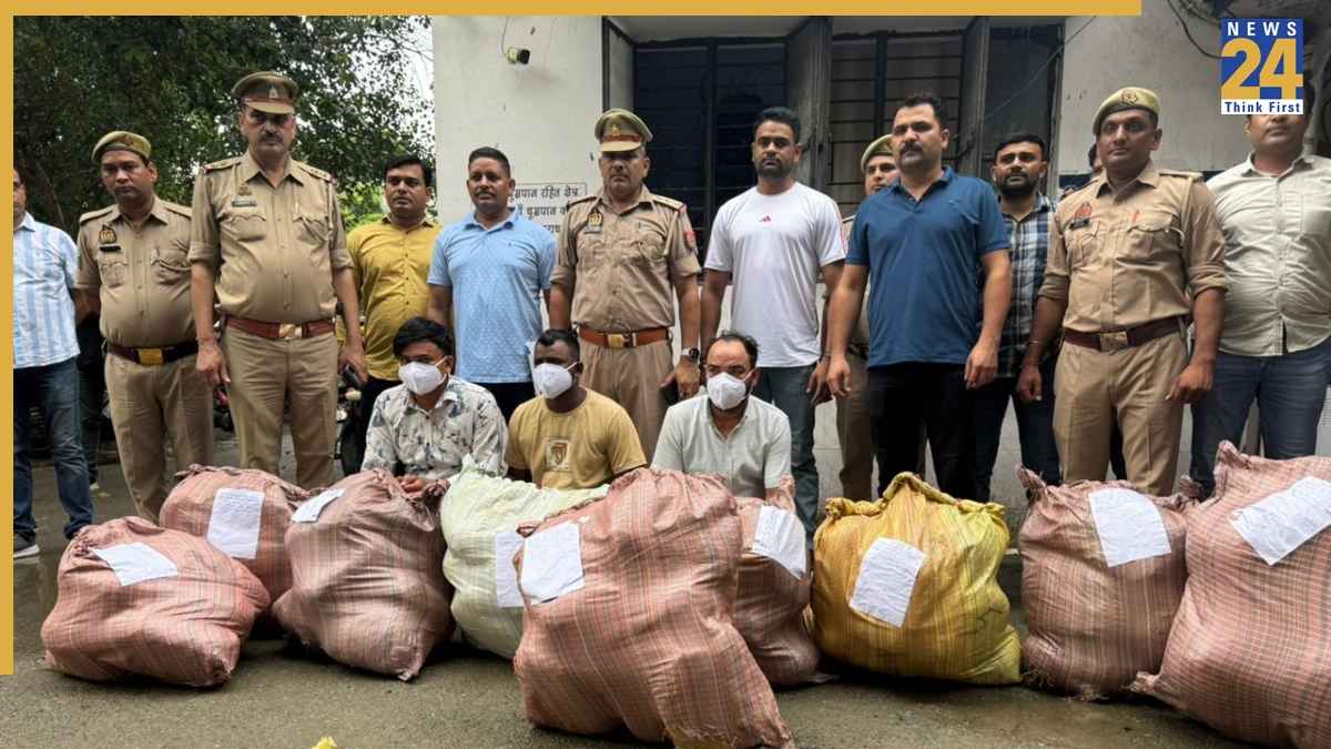 Noida Drugs