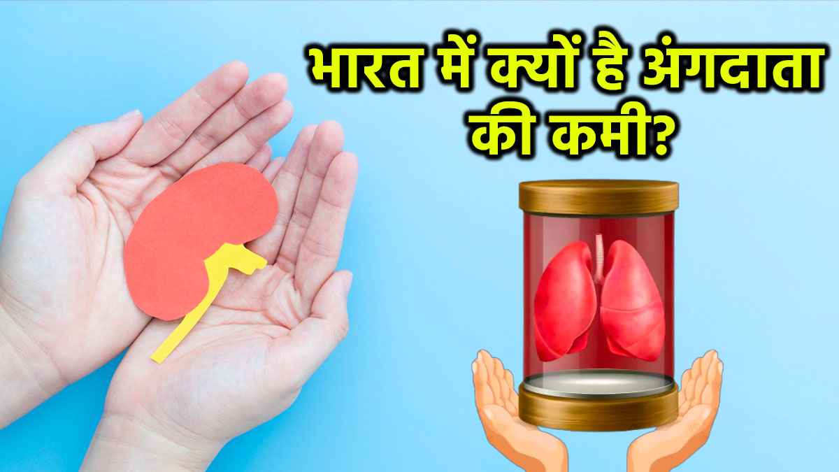 क्या COVID से ठीक हो चुके मरीज कर सकते हैं अंग दान? महामारी के बाद क्या-क्या बदला