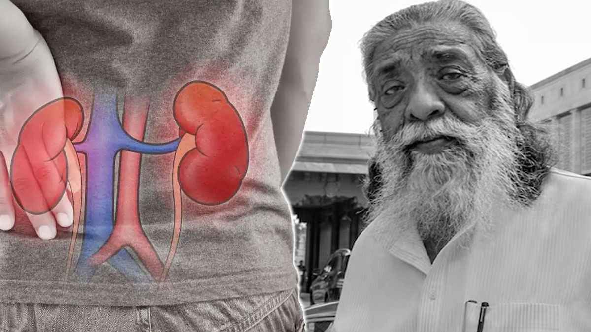 Shibu Soren Death: किडनी से जुड़ी कौन-कौन सी बीमारियां खतरनाक? शुरुआती लक्षण क्या, बचाव कैसे?