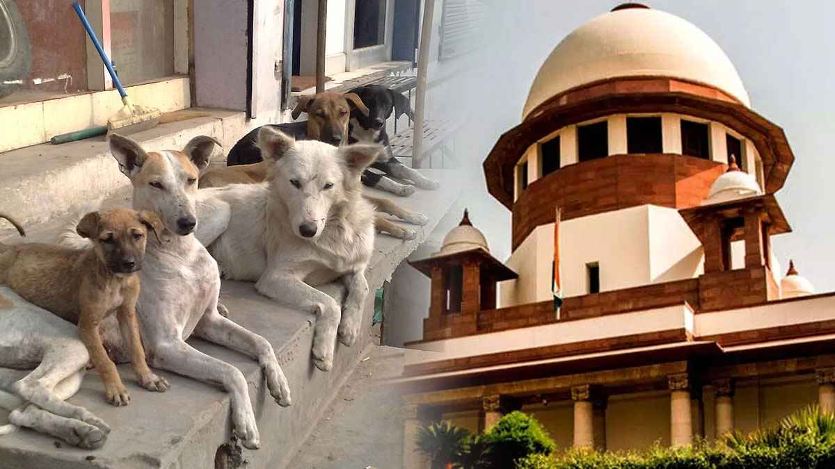 Supreme Court on Dog Case