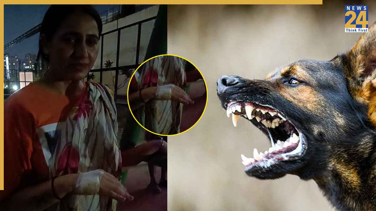 Greater Noida News: ग्रेटर नोएडा वेस्ट में फिर कुत्ते ने महिला को काटा, लगातार बढ़ रही हमले की घटनाएं