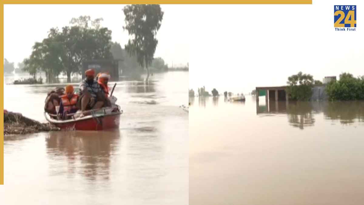 Video: पंजाब के 7 जिले बाढ़ की चपेट में, बोट से हो रहा राहत-बचाव का काम, उफान पर ब्यास नदी