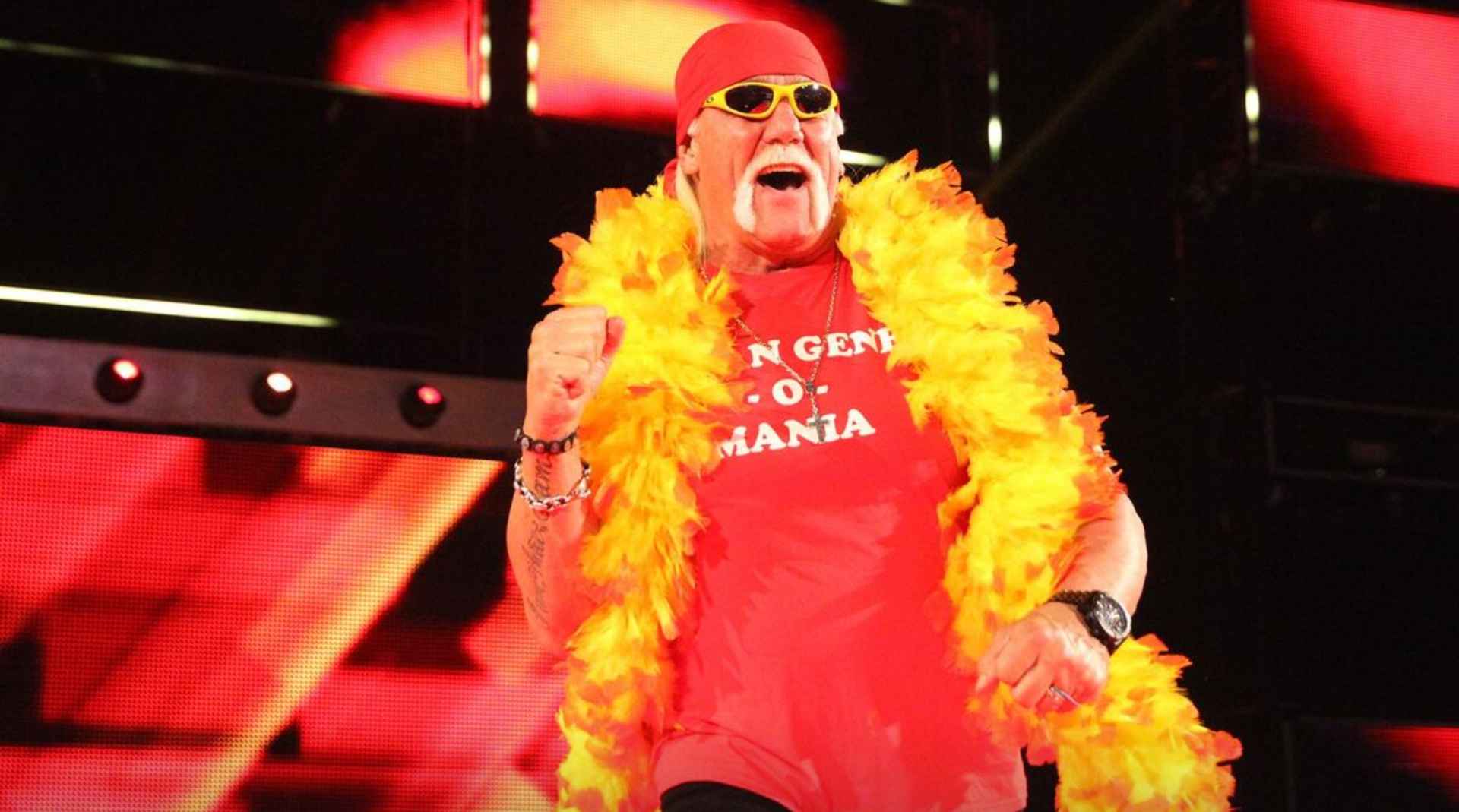 WWE, Hulk Hogan