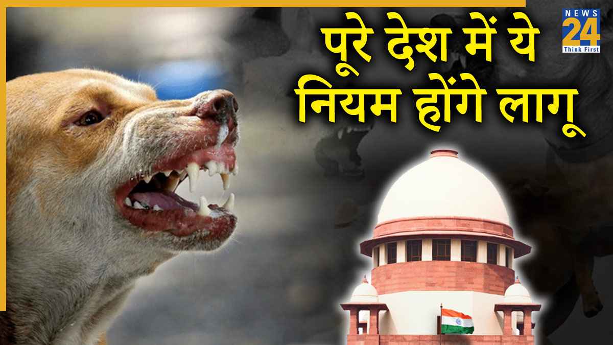 Supreme Court Order, Stray Dogs, Delhi-NCR, Dog Lovers, Animal Welfare, Public Safety, Rabies Control, Dog Shelters, Sterilization, Vaccination