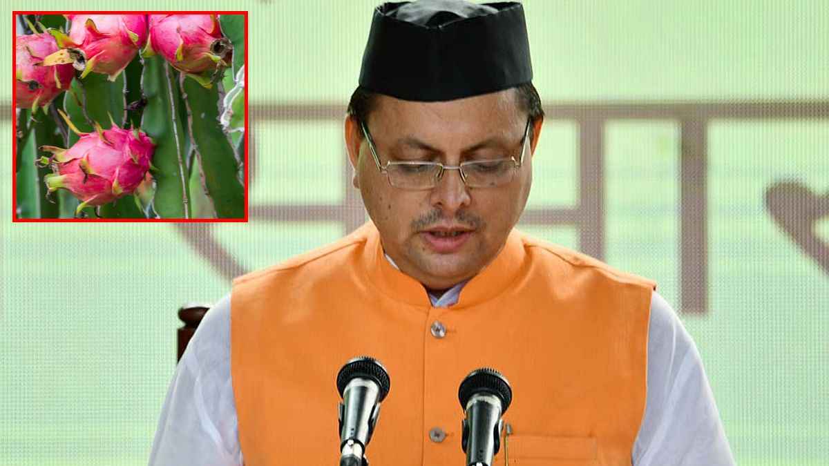 uttarakhand dragon policy
