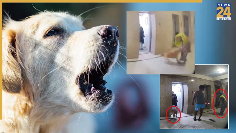 Ghaziabad News, Ghaziabad Police, Ghaziabad crime, Ghaziabad, Ghaziabad Latest News, Pet dogs, stray dogs, dog bites, गाजियाबाद खबर, गाजियाबाद, गाजियाबाद ताजा खबर, गाजियाबाद पुलिस, पालतू कुत्ते, आवारा कुत्ते, कुत्ते ने काटा