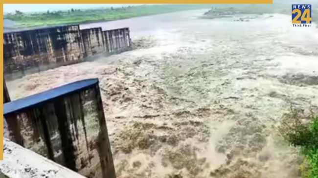 Baghpat News, Baghpat Latest News, Baghpat Today's News, Yamuna, Yamuna Water Level, Hathinikund Barrage, Crops Submerged, बागपत न्यूज, बागपत ताजा खबर, बागपत आज की खबर, यमुना, यमुना जलस्तर, हथिनीकुंड बैराज, फसल जलमग्न,