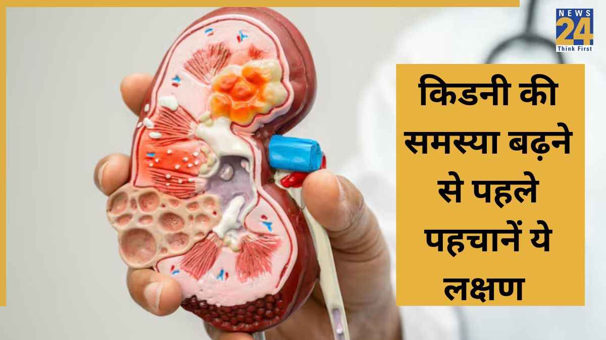 kidney