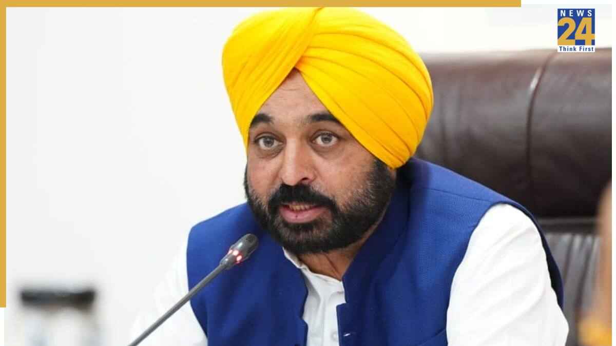 पंजाब में पशुओं के लिए चला रेस्क्यू ऑपरेशन, 481 पशु चिकित्सा टीमें उतरीं
