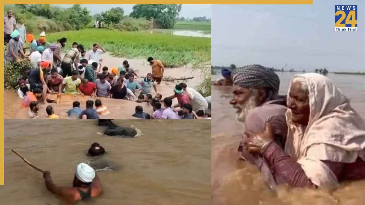 Punjab news, Punjab latest news, Punjab floods, PM Narendra Modi, CM Bhagwant Mann, Priyanka Gandhi Vadra, Punjab government, पंजाब न्यूज, पंजाब ताजा खबर, पंजाब बाढ़, पीएम नरेन्द्र मोदी, सीएम भगवंत मान, प्रियंका गांधी वाड्रा, पंजाब सरकार